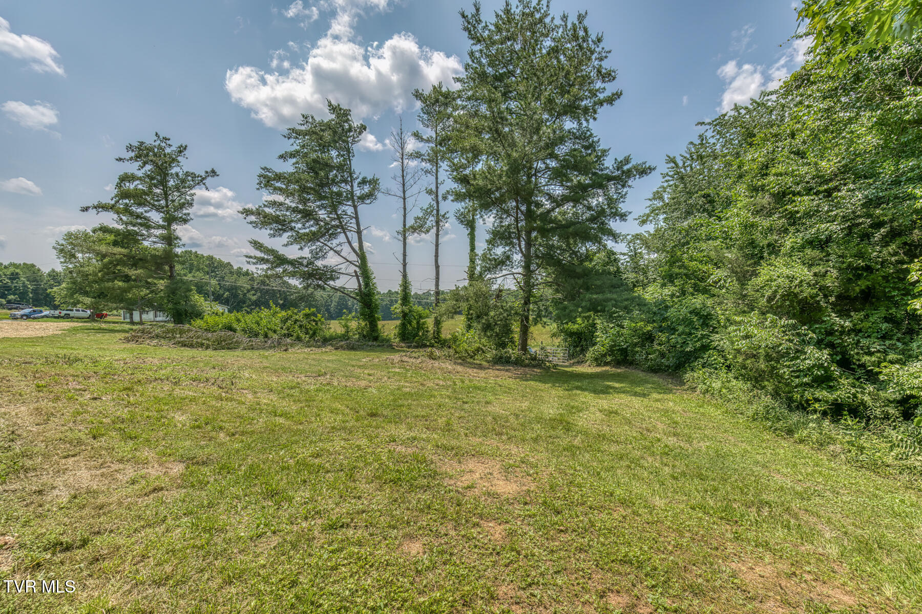 963 Church Road, Fall Branch, Tennessee image 3