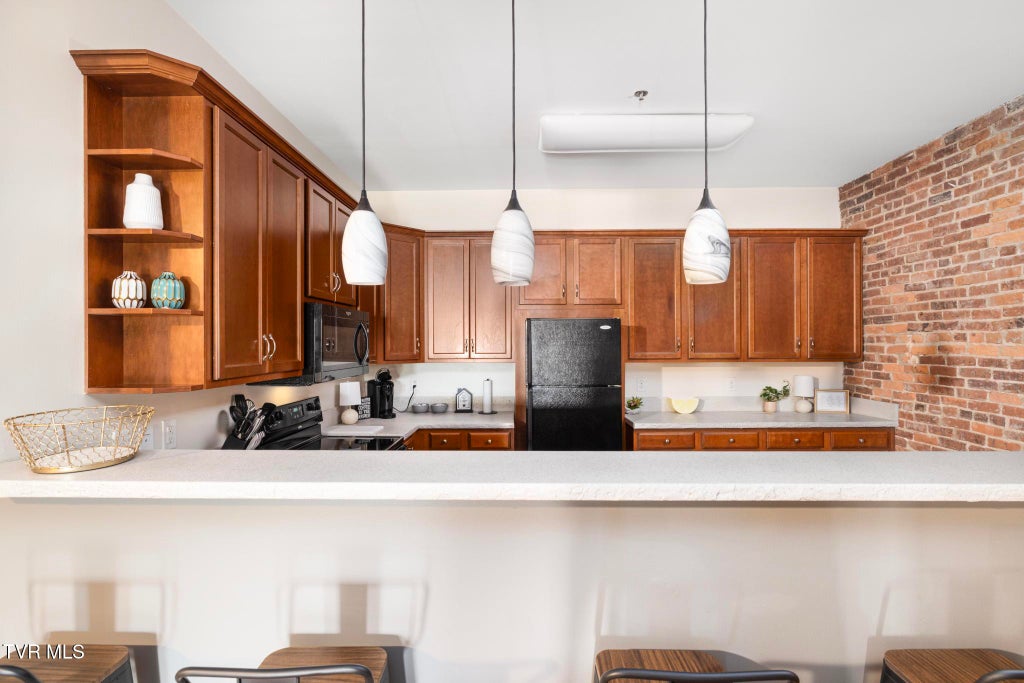 Photo of 116 Tipton Street #Apt 309, Johnson City, TN 37604 (MLS # 10001952)