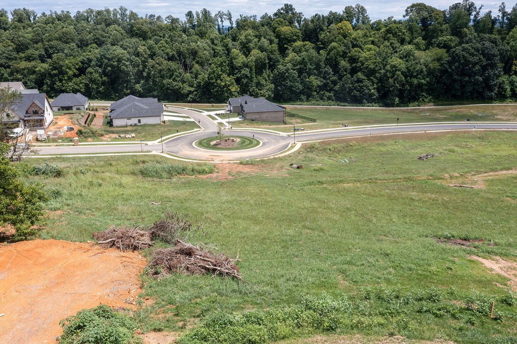 Photo of 456 Gransley Court, Johnson City, TN 37615 (MLS # 9992145)