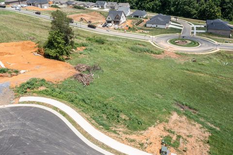 Vacant Land For Sale - 456 Gransley Court<br/> Washington County, Johnson City, TN 37615