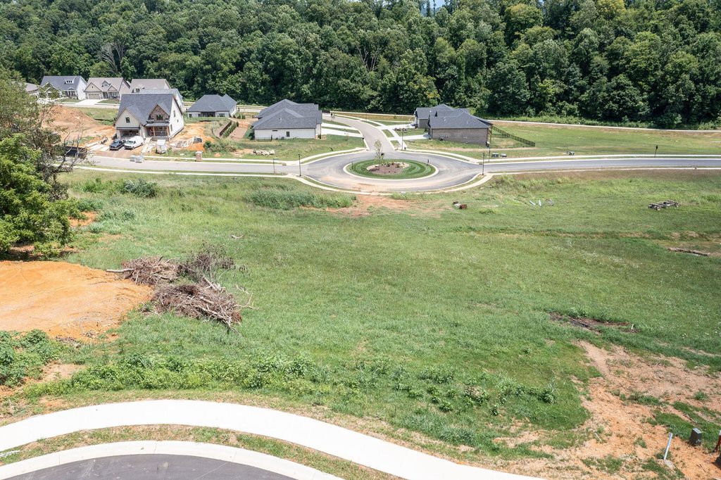 Photo of 456 Gransley Court, Johnson City, TN 37615 (MLS # 9992145)