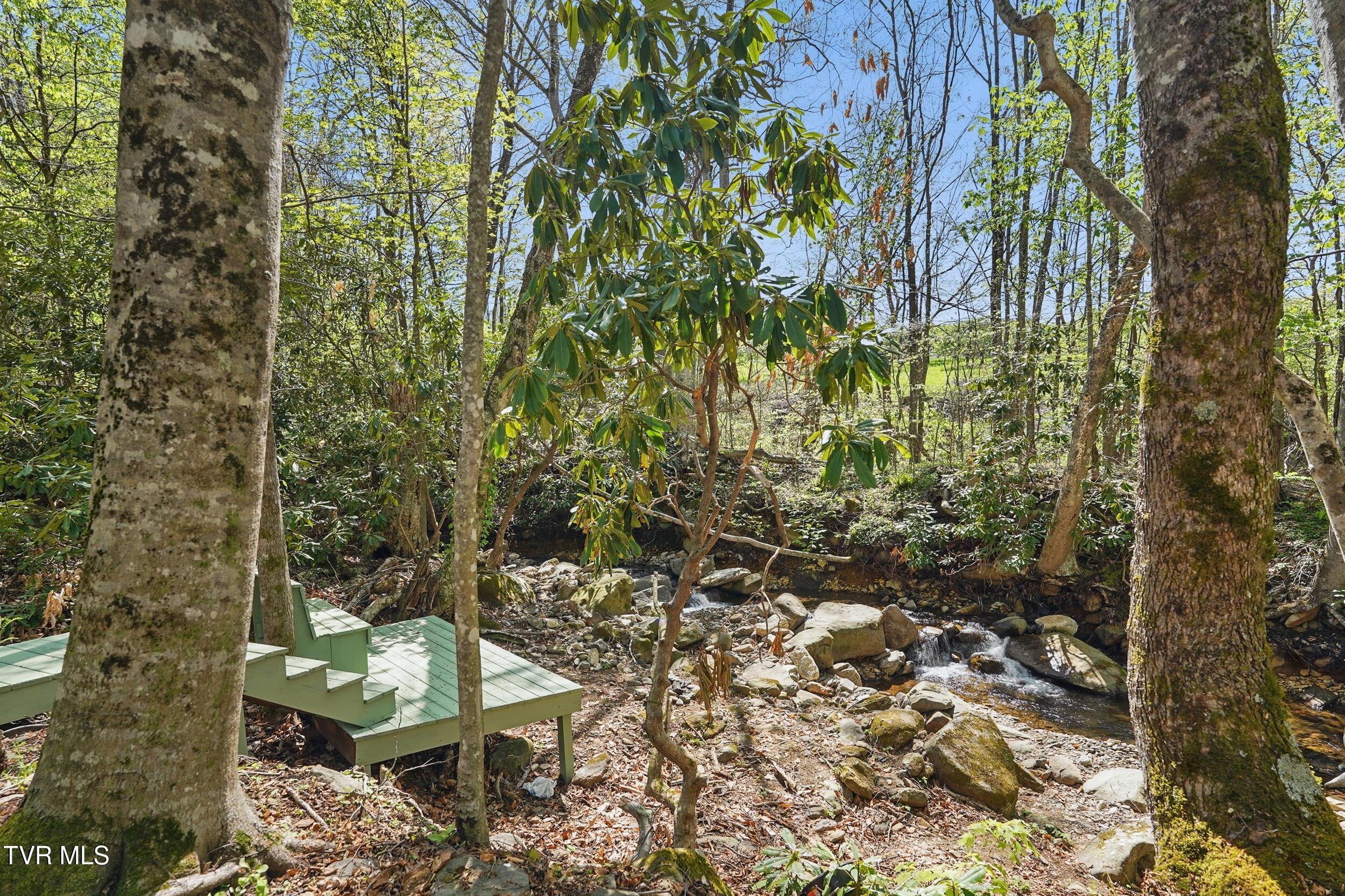 368 Burbank Road, Roan Mountain, Tennessee image 20