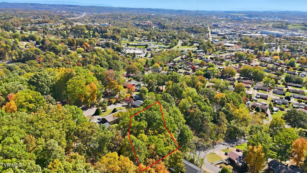 Photo of 1200 Deerfield Avenue, Kingsport, TN 37660 (MLS # 9987453)