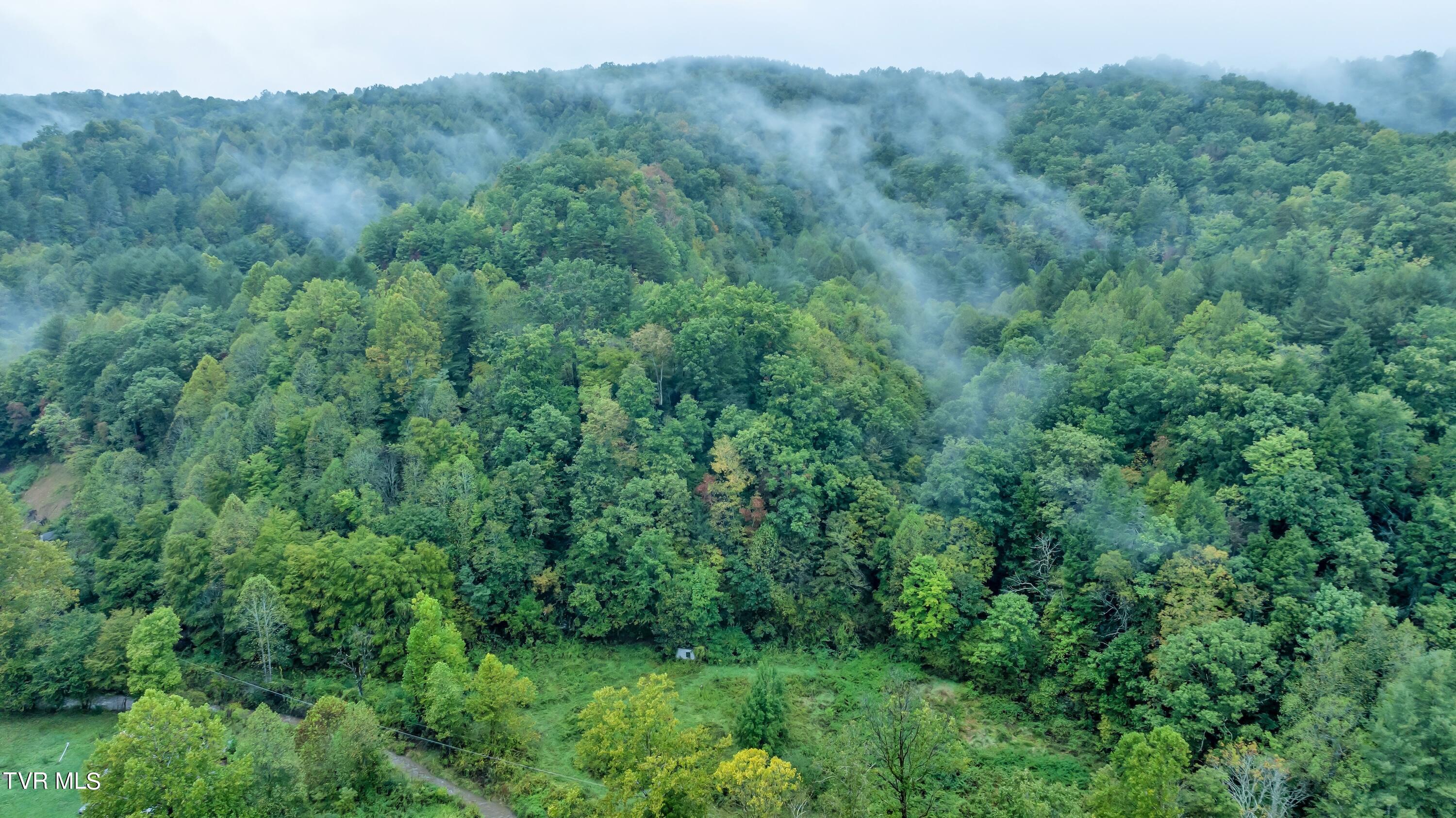 Tbd Hale Gap Road, Pound, Virginia image 2