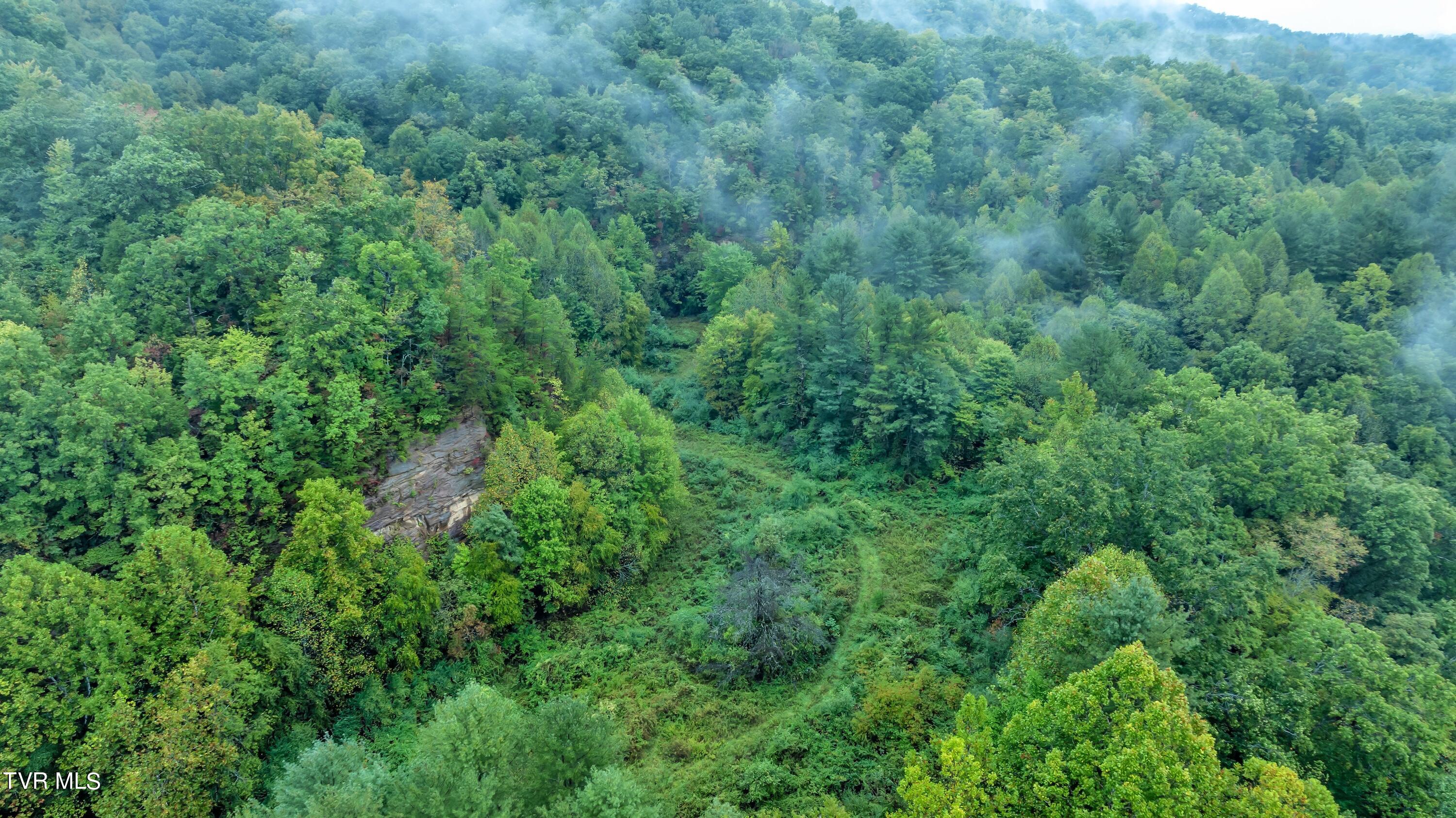 Tbd Hale Gap Road, Pound, Virginia image 3