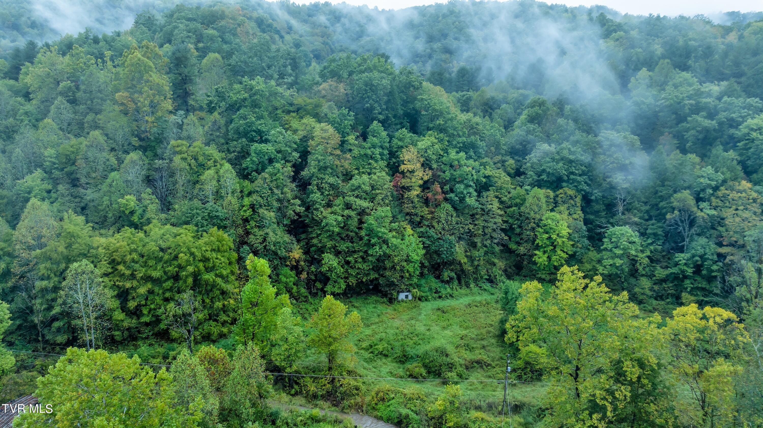 Tbd Hale Gap Road, Pound, Virginia image 9