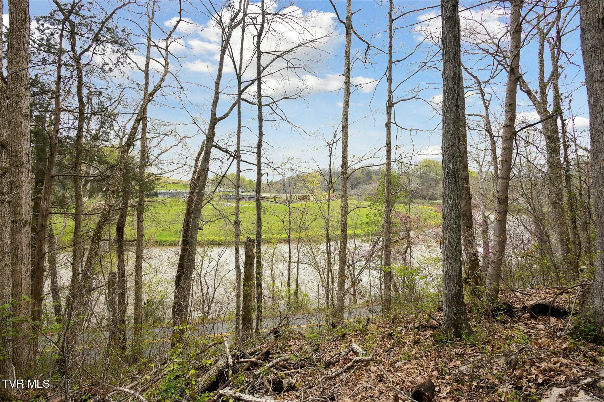 265 Holston Drive Lane, Weber City, Virginia image 32