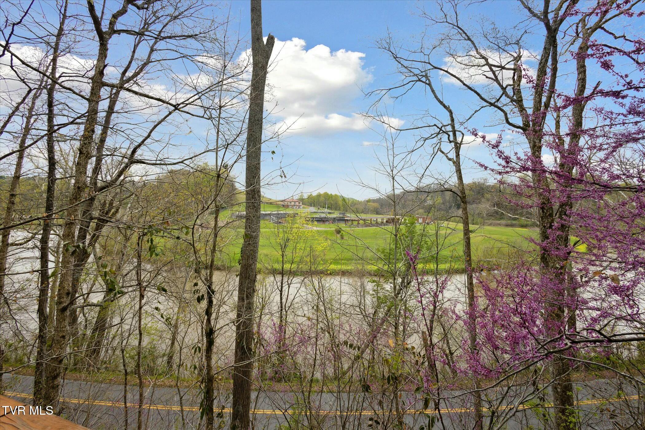 265 Holston Drive Lane, Weber City, Virginia image 34