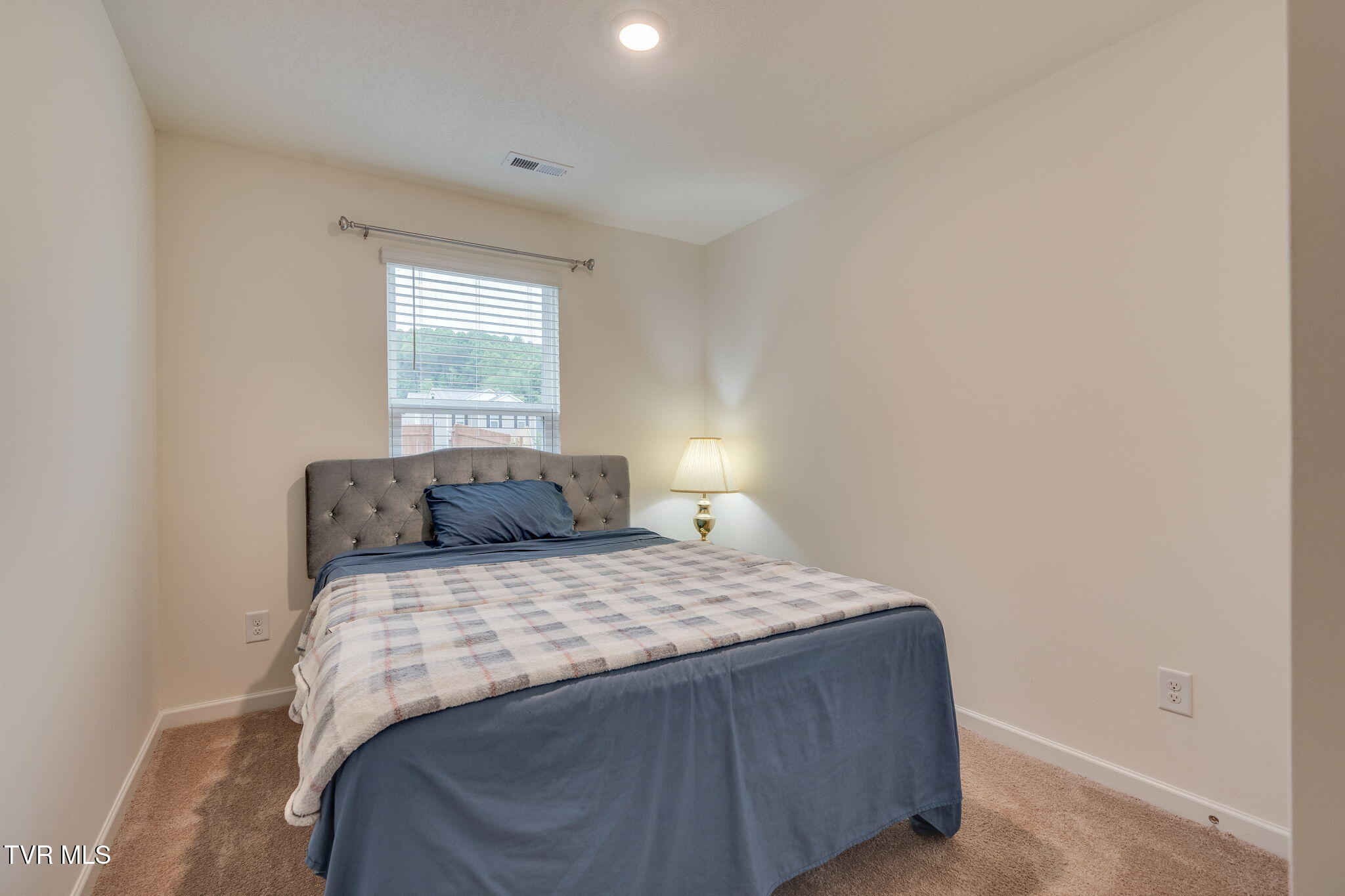 969 Lola Lane, Kingsport, Tennessee image 18