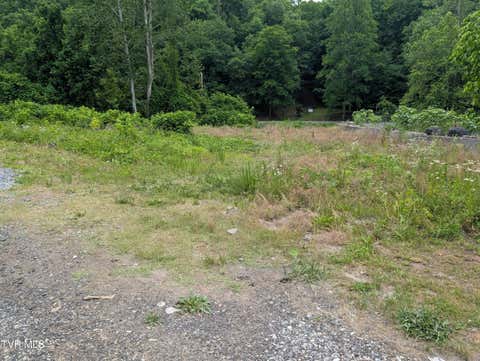 Vacant Land For Sale - TBD Helen Henderson Highway<br/> Bee, VA 24217