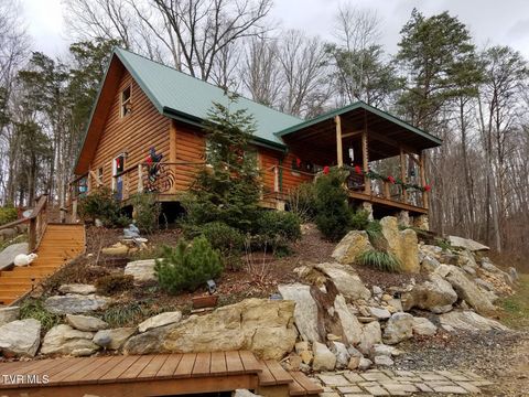 Photo of 186 Raspberry Ridge Road, Johnson City, TN 37601 (MLS # 9995310)