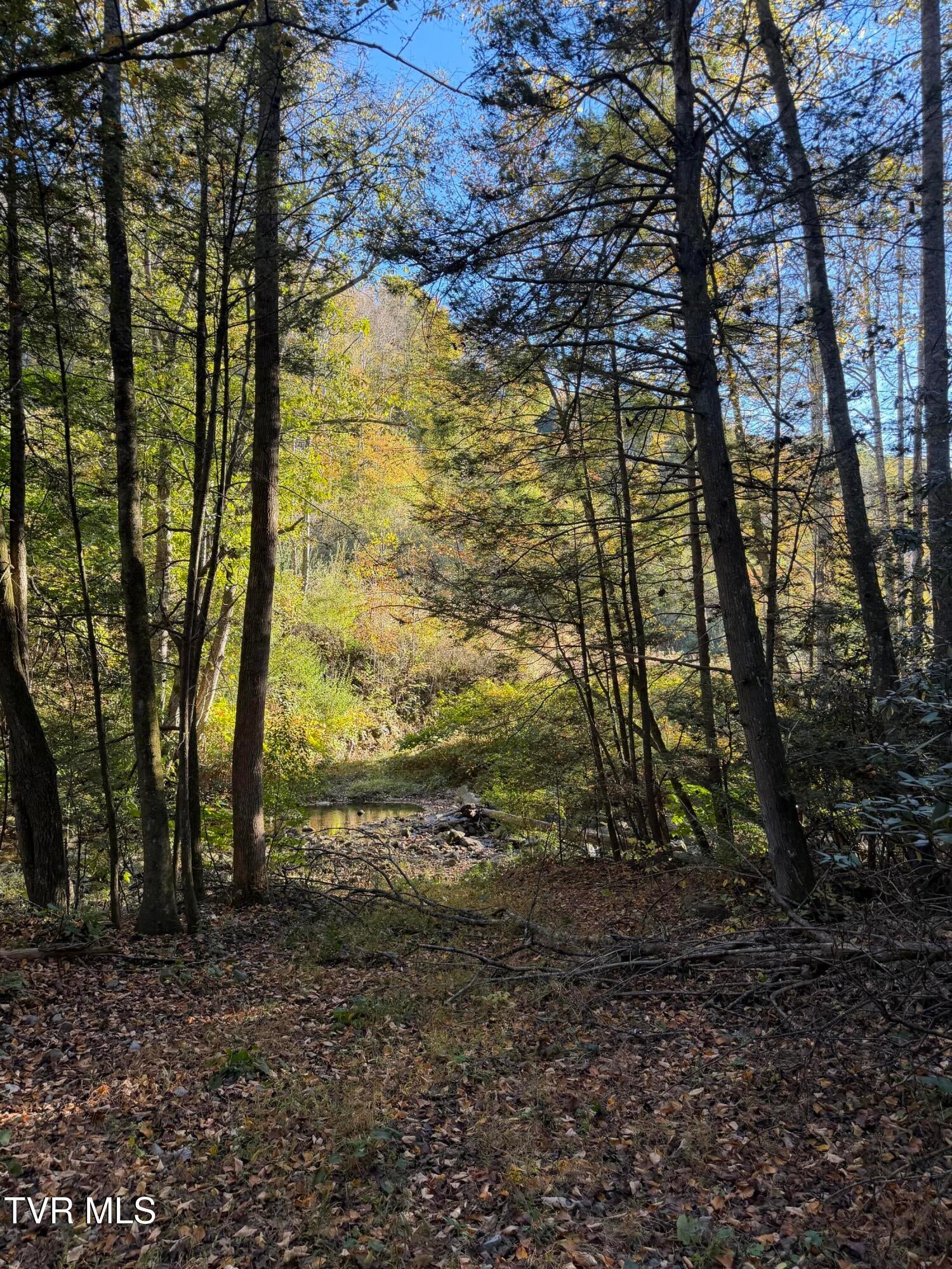 N/A Yellow Creek Road