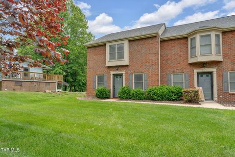 Photo of 1705 Lakeview Drive #Apt 1, Johnson City, TN 37601 (MLS # 9995536)