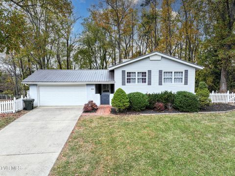 Photo of 1814 Brentwood Drive, Greeneville, TN 37743 (MLS # 9987544)