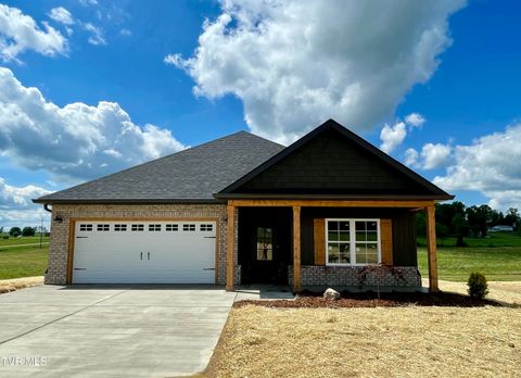 245 Greenwood Road Afton TN 37616