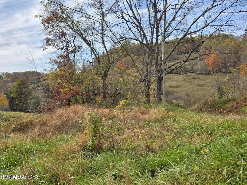 Photo of 201 Elihu Road, Sneedville, TN 37869 (MLS # 9989112)