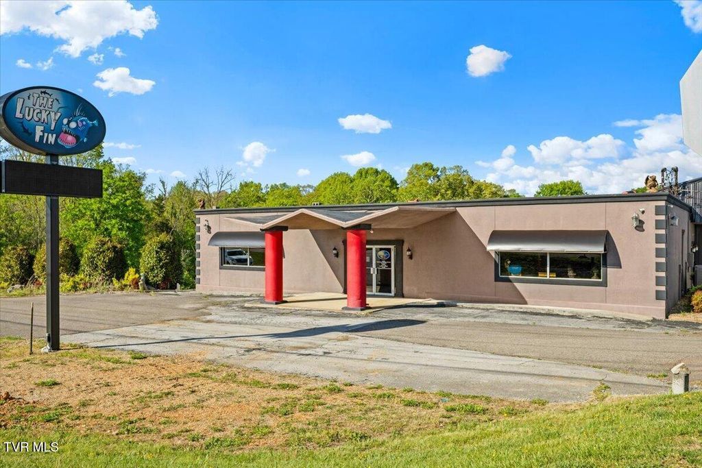Photo of 5602 Kingsport Highway, Gray, TN 37615 (MLS # 9994644)