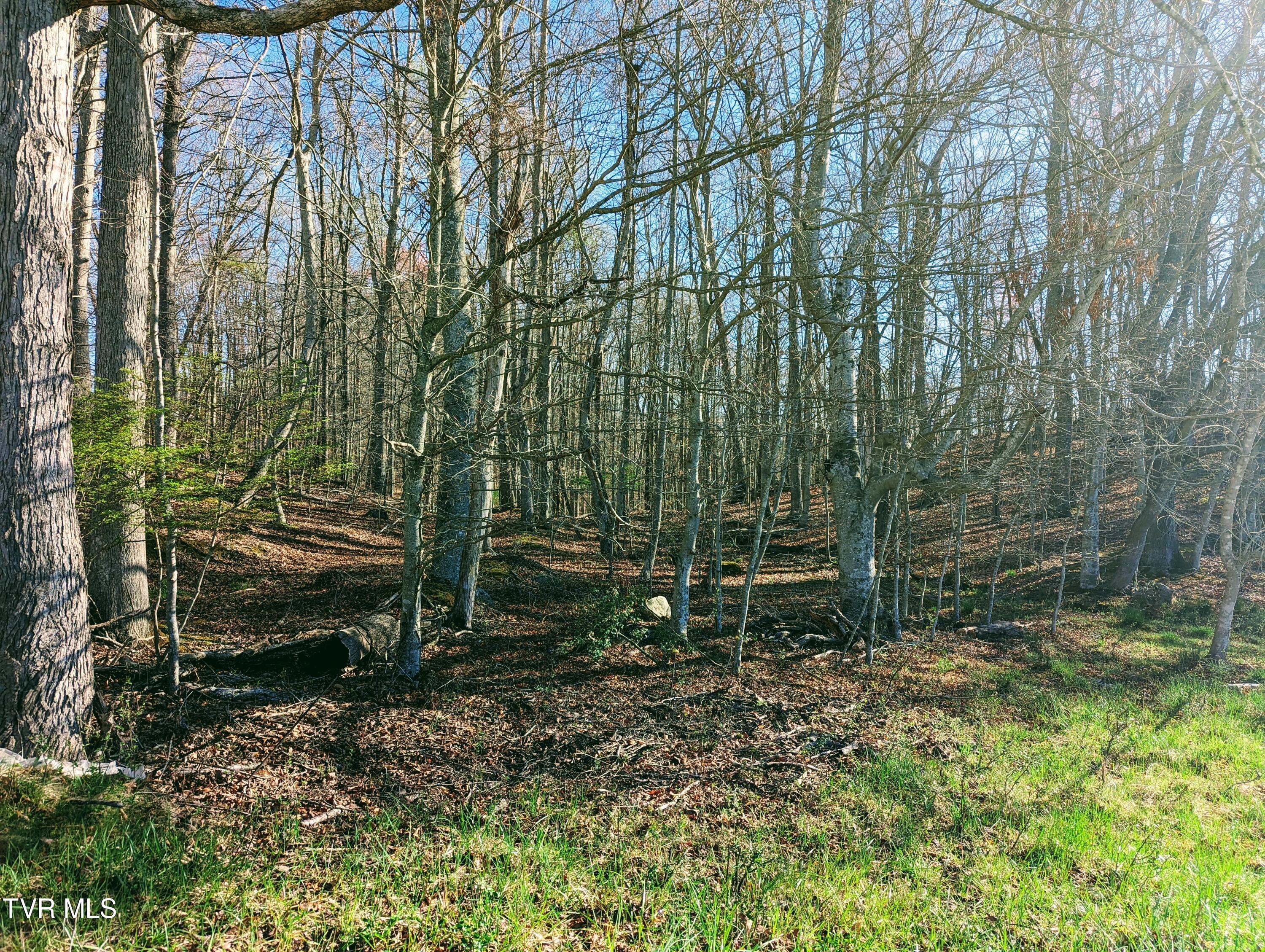 Tbd Lockhart Flats, Clintwood, Virginia image 3