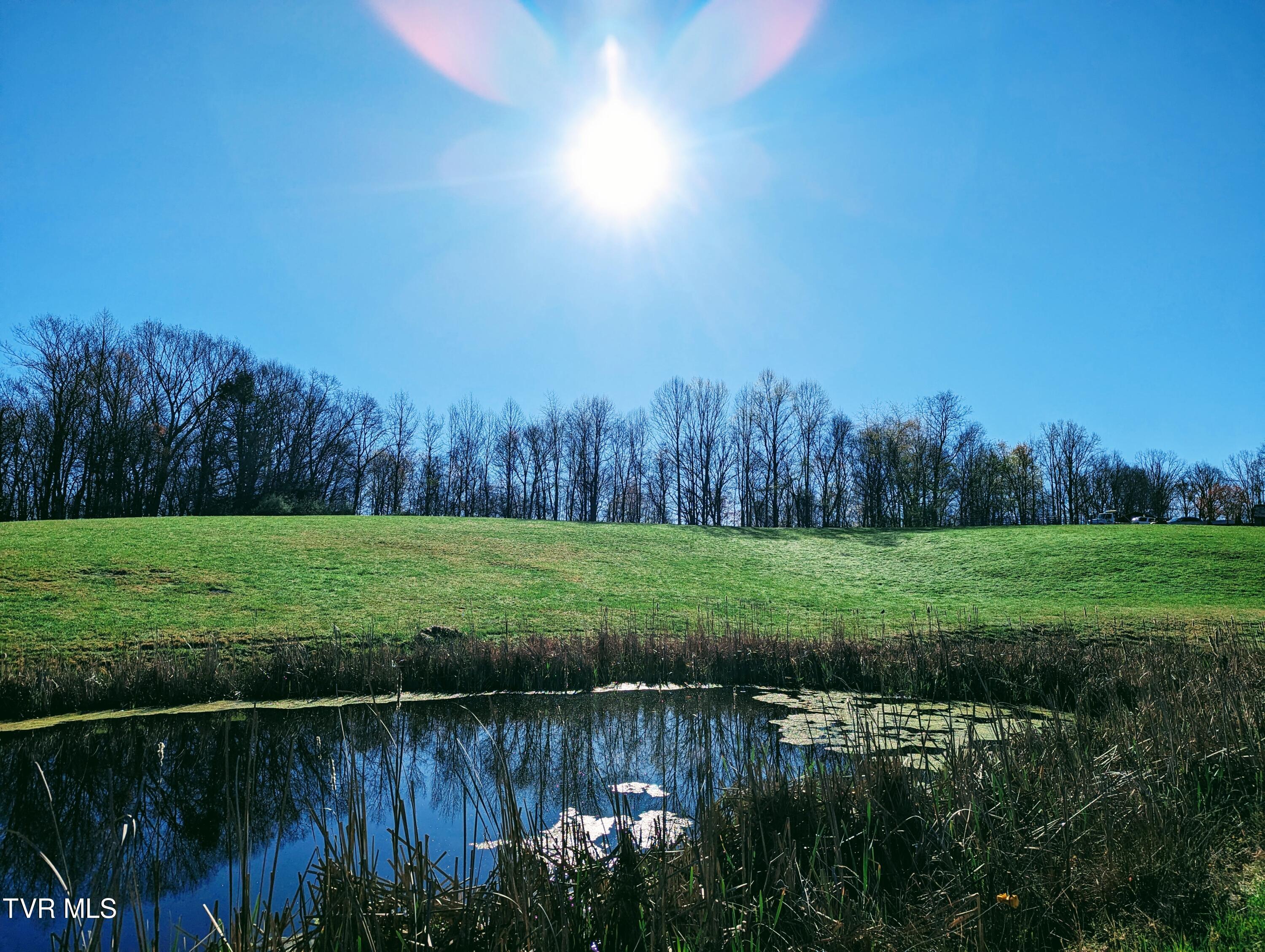 Tbd Lockhart Flats, Clintwood, Virginia image 2