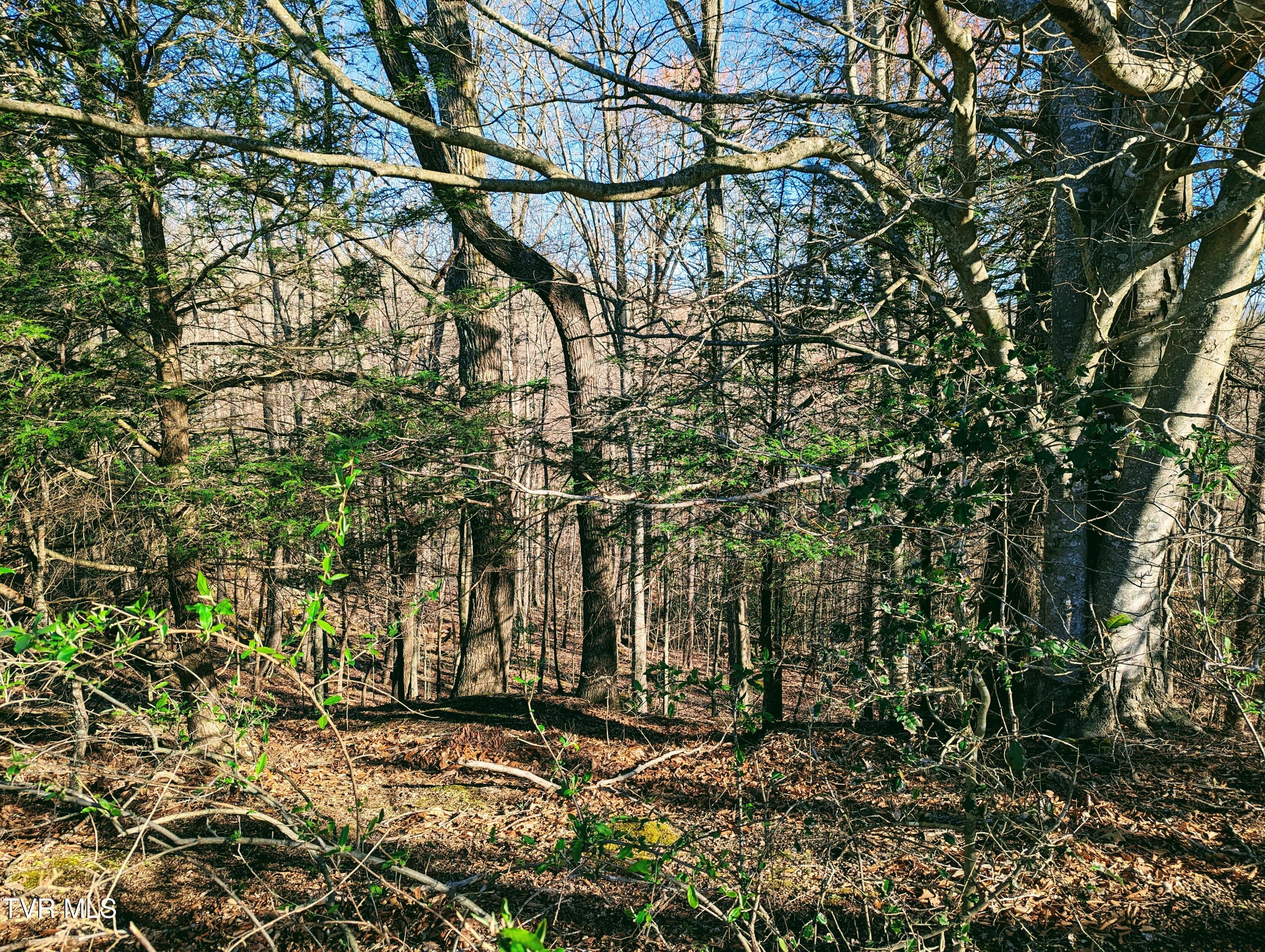 Tbd Lockhart Flats, Clintwood, Virginia image 4