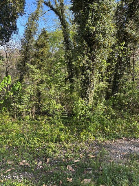 Vacant Land For Sale - LOT 14 Ashley Street<br/> Kingsport, TN 37664