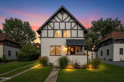 Photo of 438 Sullivan Street, Kingsport, TN 37660 (MLS # 9985933)
