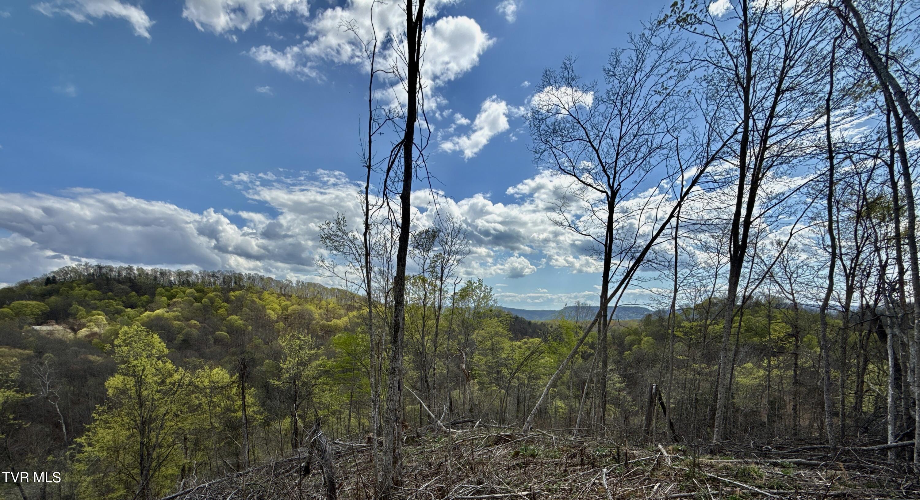 118/Ac Tbd N Central Avenue, Church Hill, Tennessee image 31