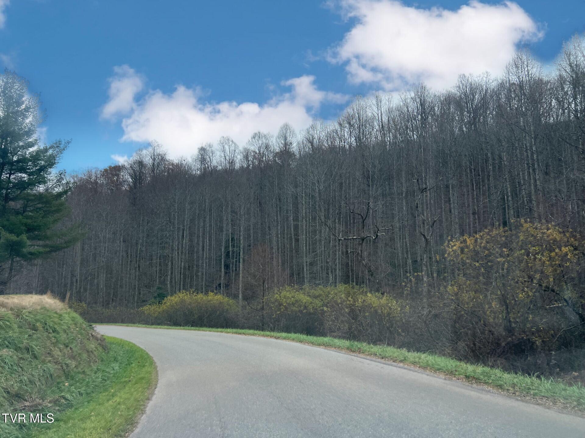 Tbd Jasper Road, Duffield, Virginia image 3