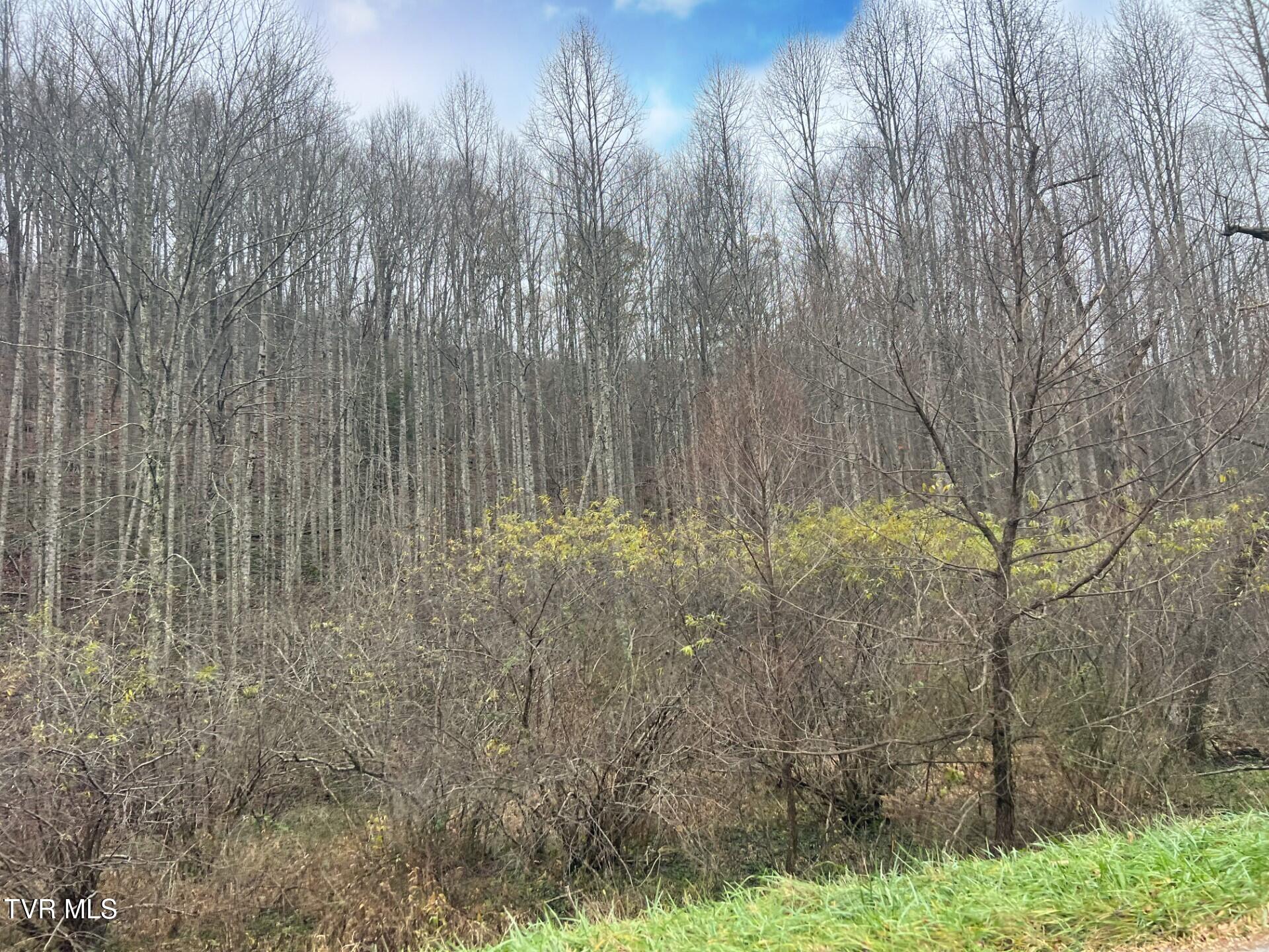 Tbd Jasper Road, Duffield, Virginia image 5