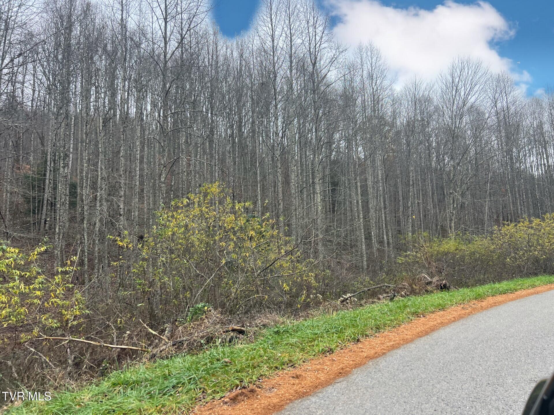Tbd Jasper Road, Duffield, Virginia image 4