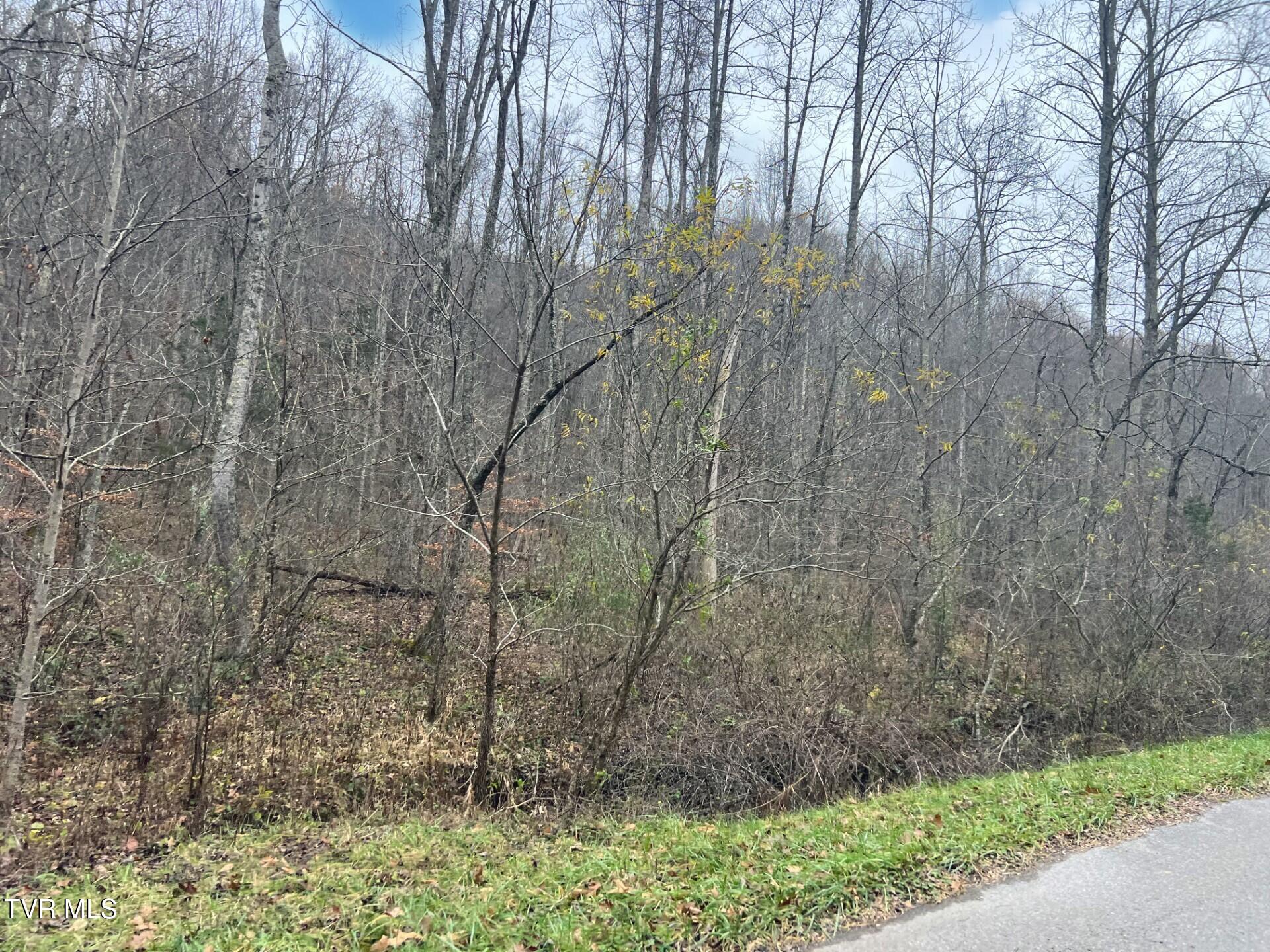 Tbd Jasper Road, Duffield, Virginia image 2