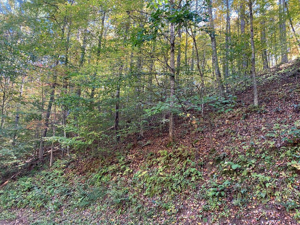 Photo of 175 Canaan Road, Butler, TN 37640 (MLS # 9997926)