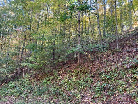 Vacant Land For Sale - 175 Canaan Road<br/> Carter County, Butler, TN 37640