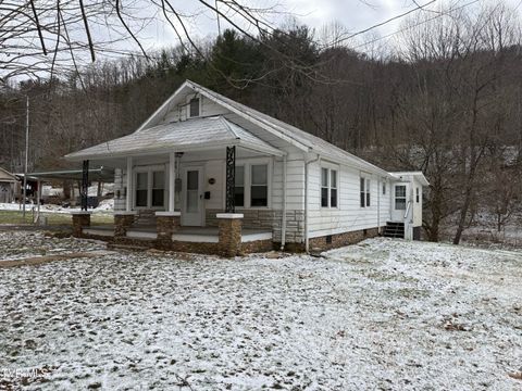 Photo of 3191 Sugar Creek Road, Laurel Bloomery, TN 37680 (MLS # 9990317)