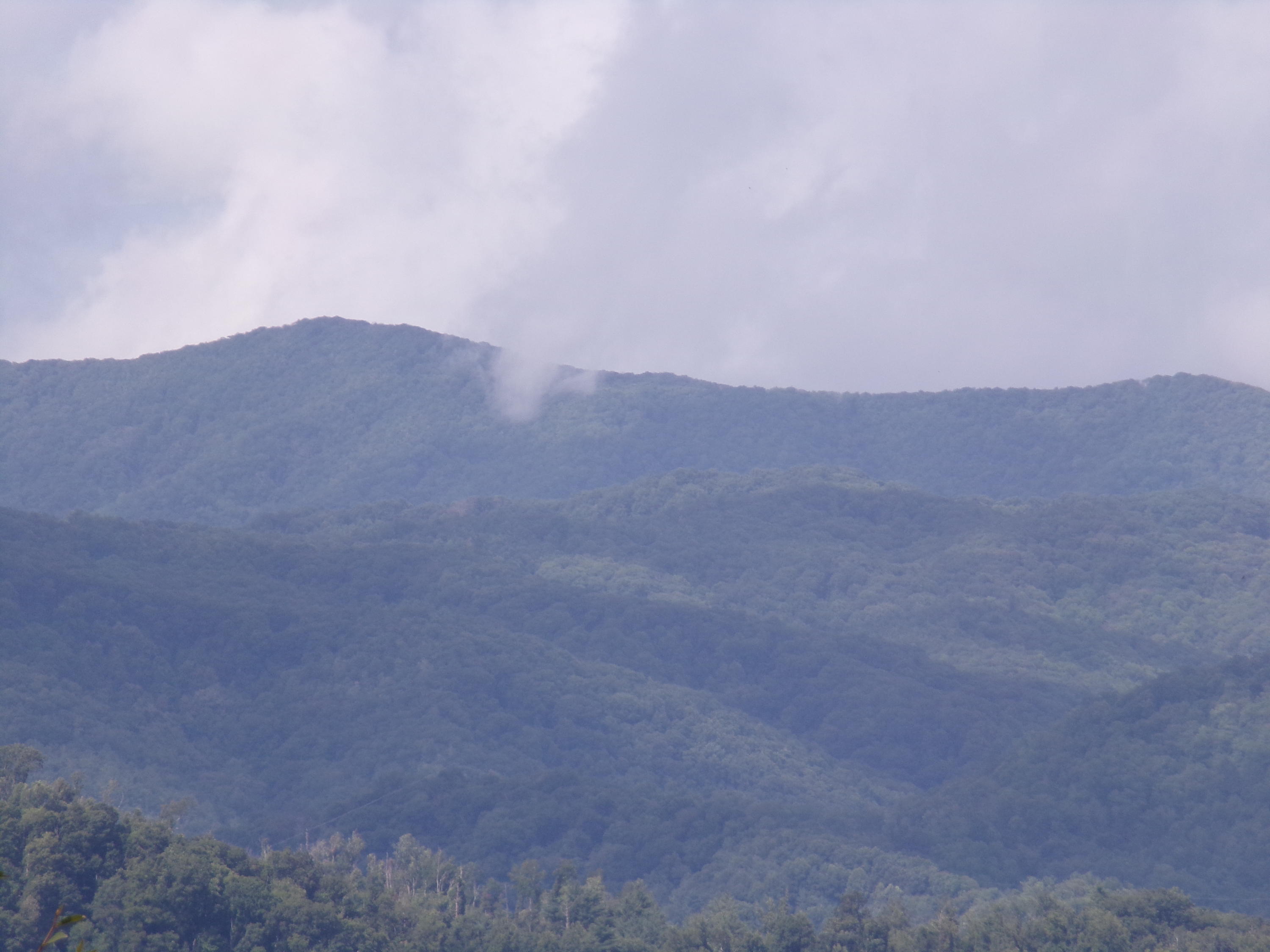 Lot 31 Lake Ridge Subdivision, Butler, Tennessee image 7