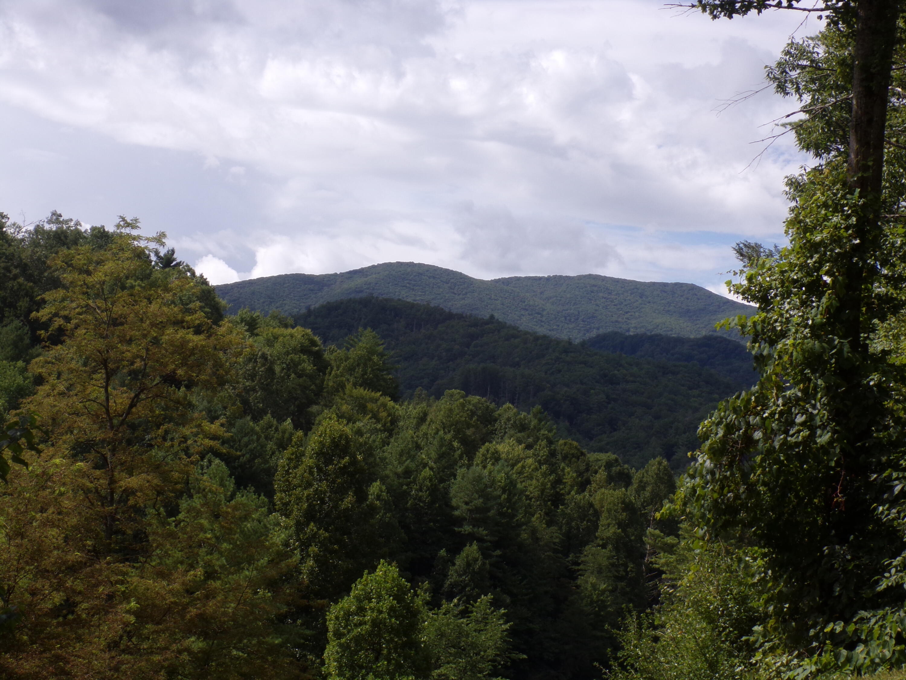 Lot 31 Lake Ridge Subdivision, Butler, Tennessee image 3
