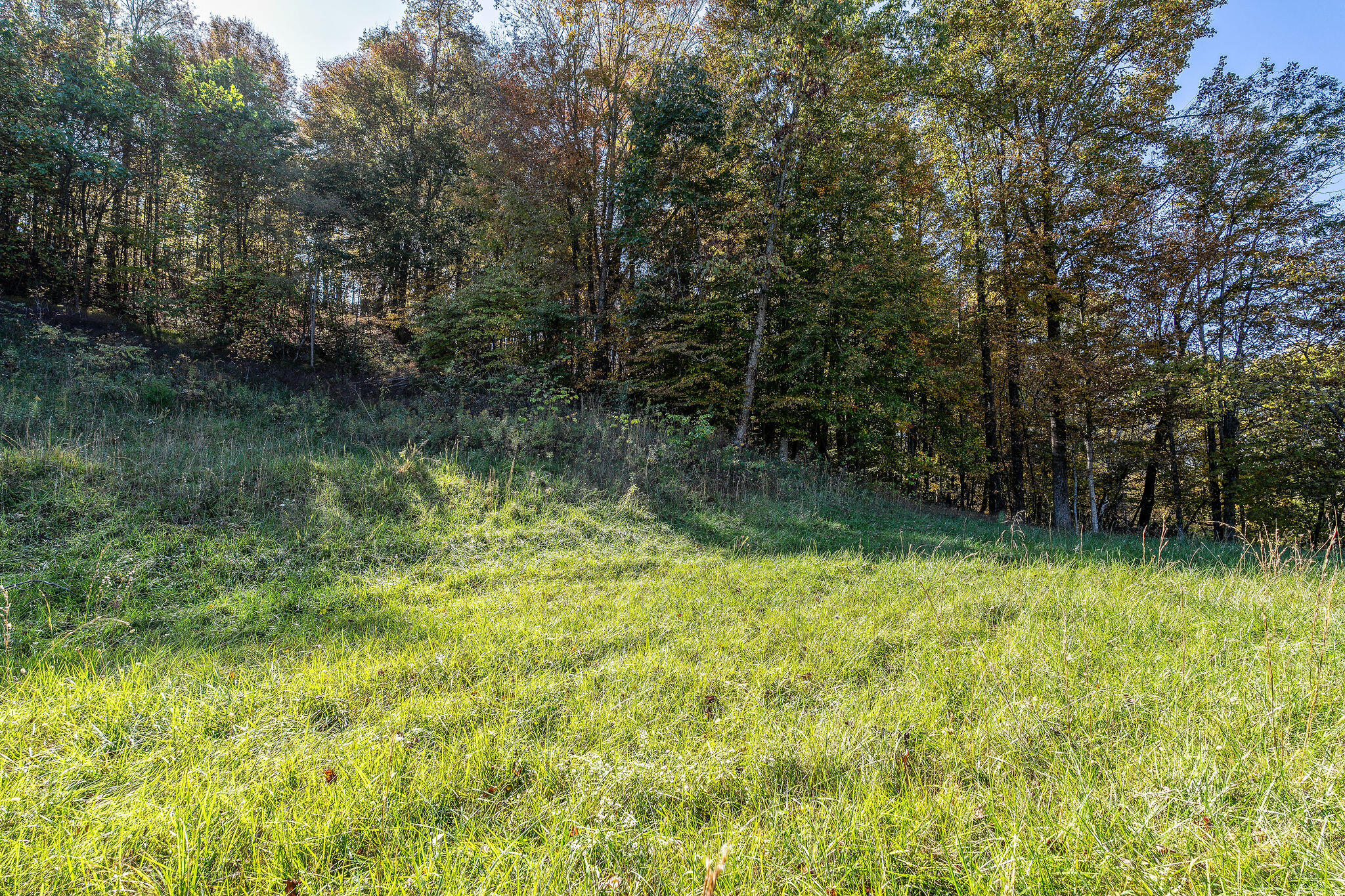 140 Hills Drive, Jonesborough, Tennessee image 41