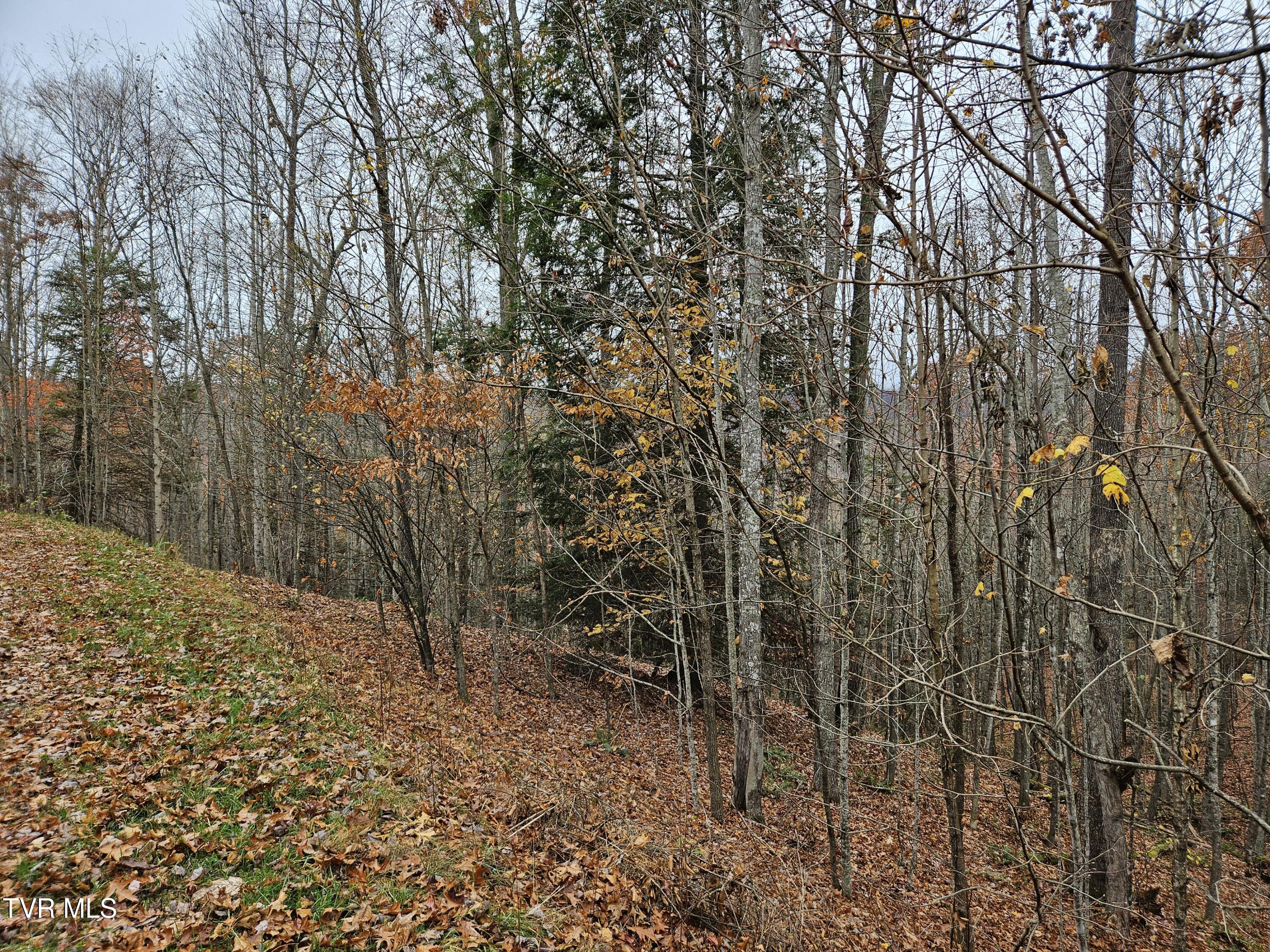 Lot  17 Fox Hollow Drive, Tazewell, Virginia image 6