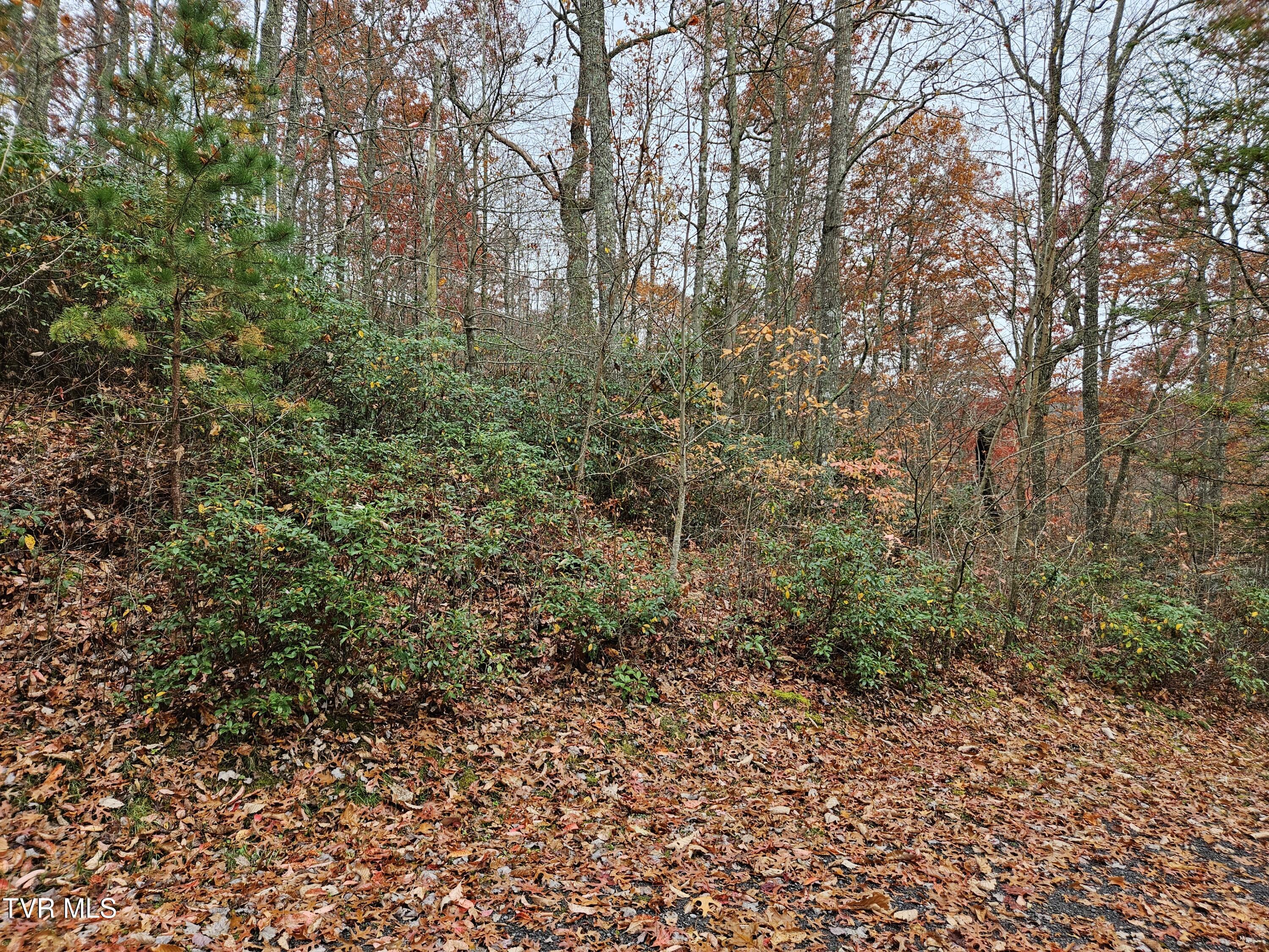Lot  17 Fox Hollow Drive, Tazewell, Virginia image 9