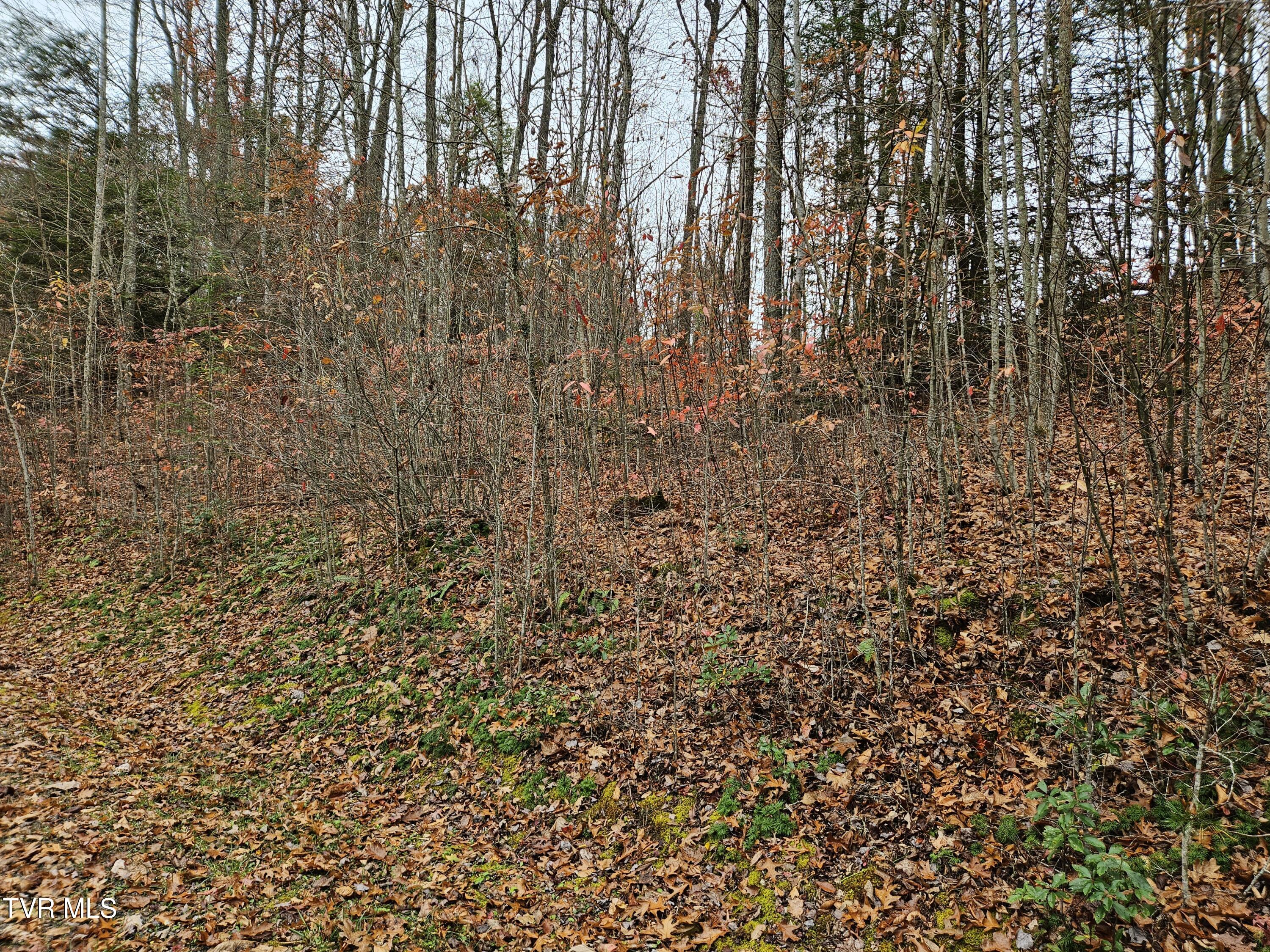 Lot  17 Fox Hollow Drive, Tazewell, Virginia image 8