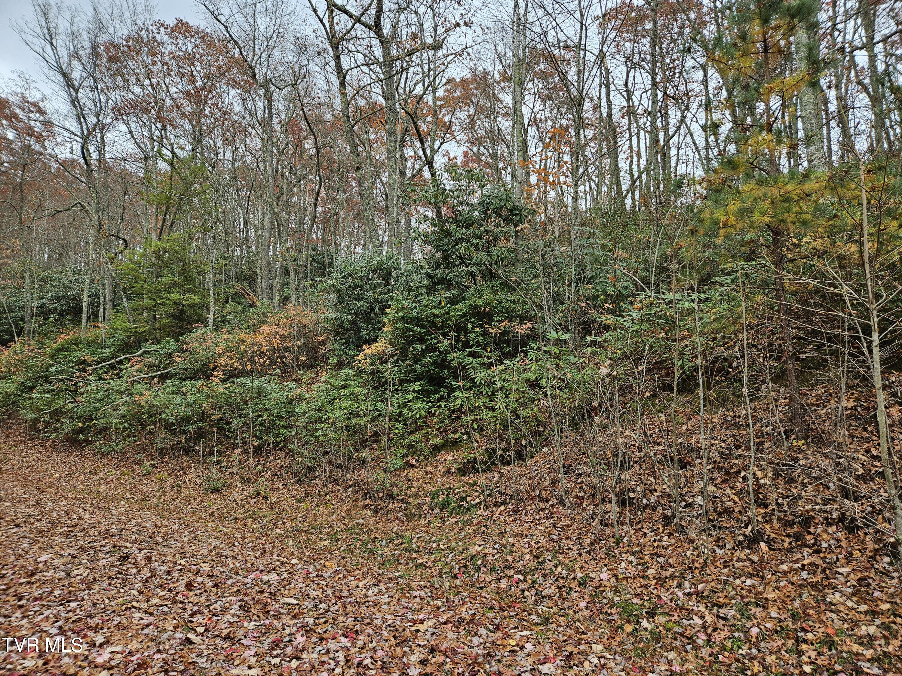 Lot  17 Fox Hollow Drive, Tazewell, Virginia image 1