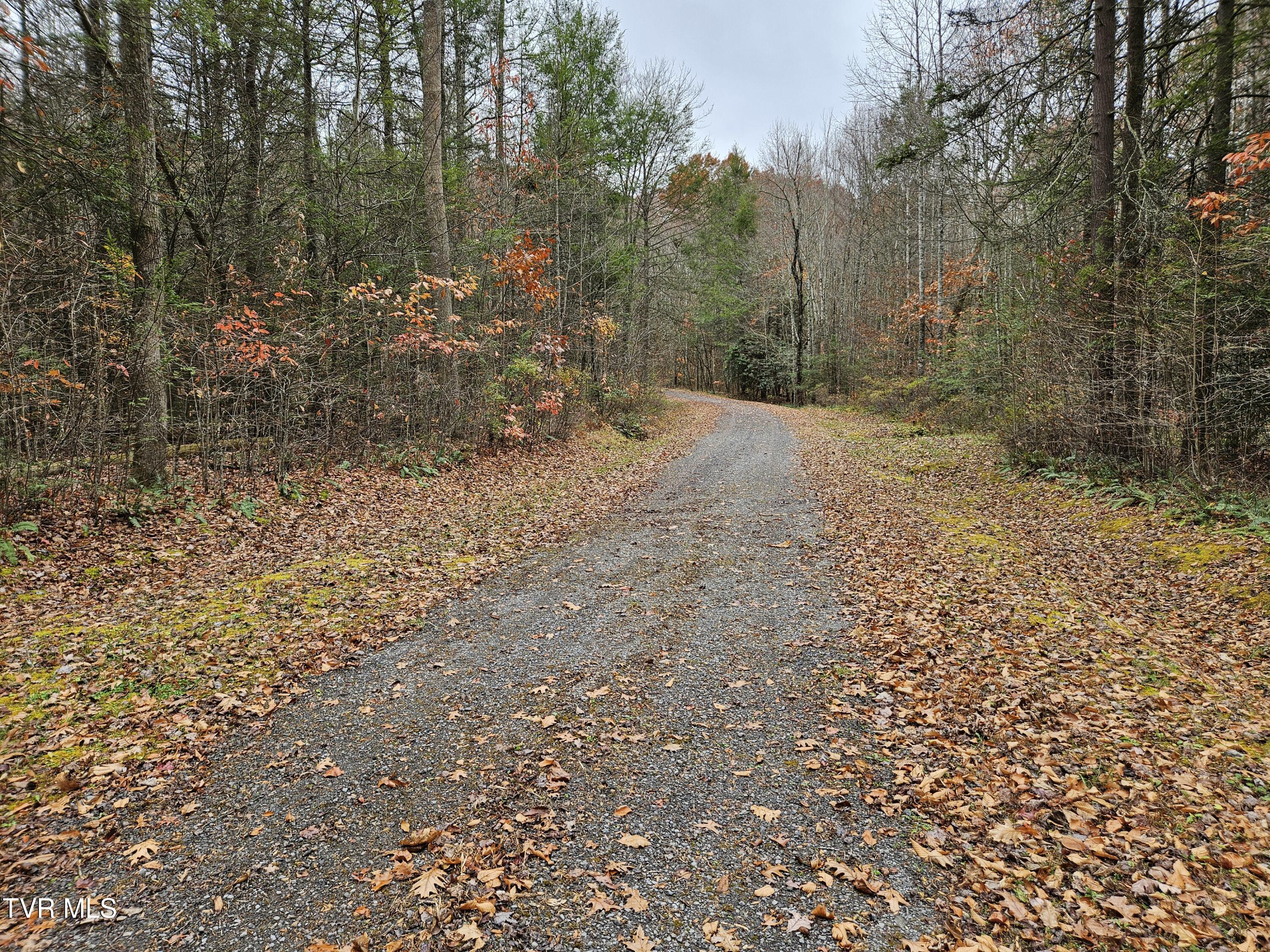 Lot  17 Fox Hollow Drive, Tazewell, Virginia image 3