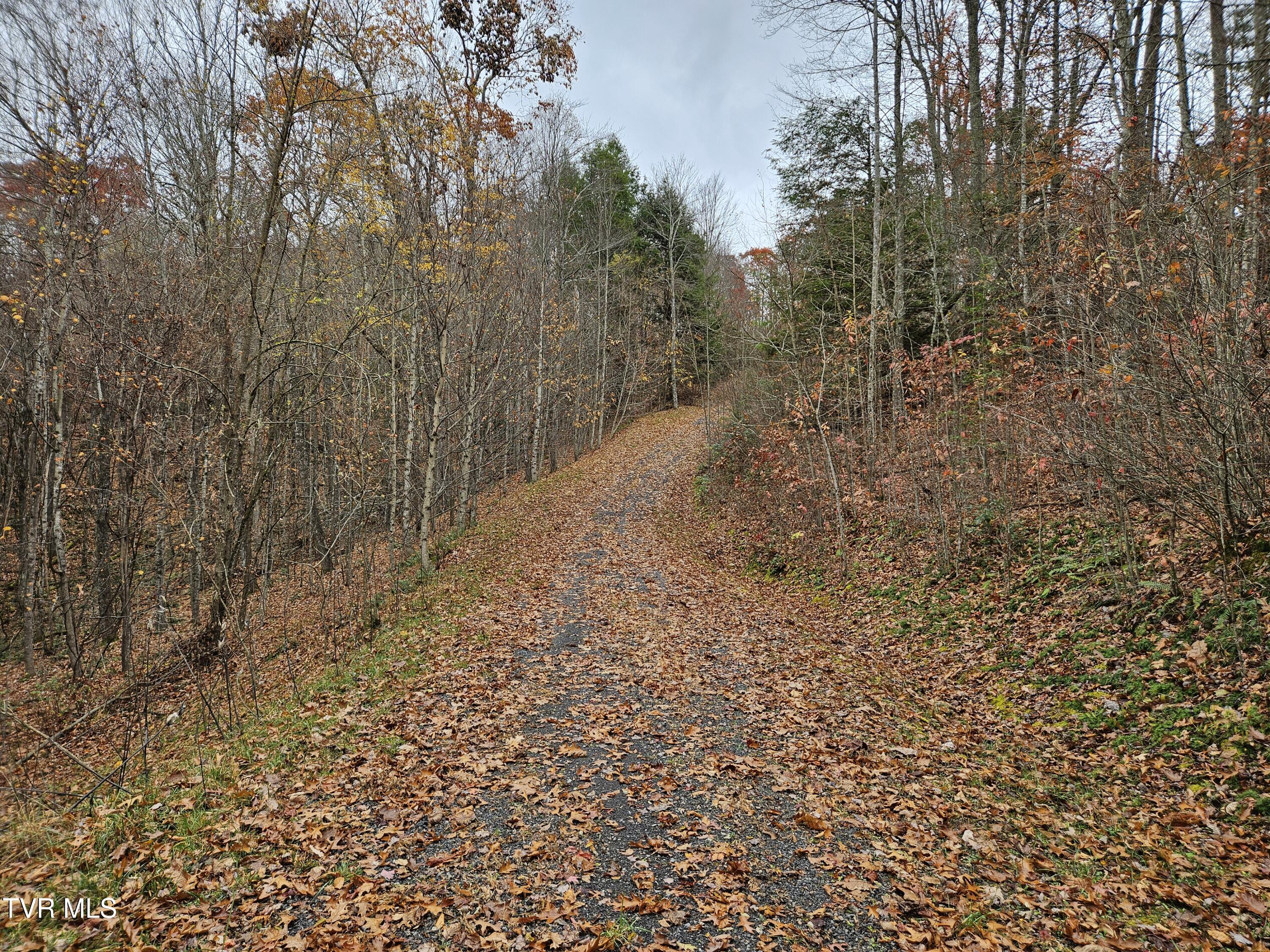 Lot  17 Fox Hollow Drive, Tazewell, Virginia image 11