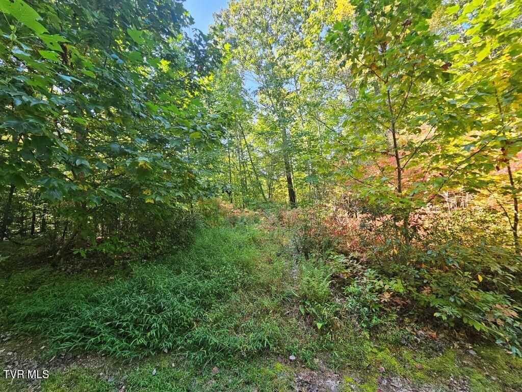 Photo of 17 Fox Hollow Drive, Tazewell, VA 24630 (MLS # 9973085)