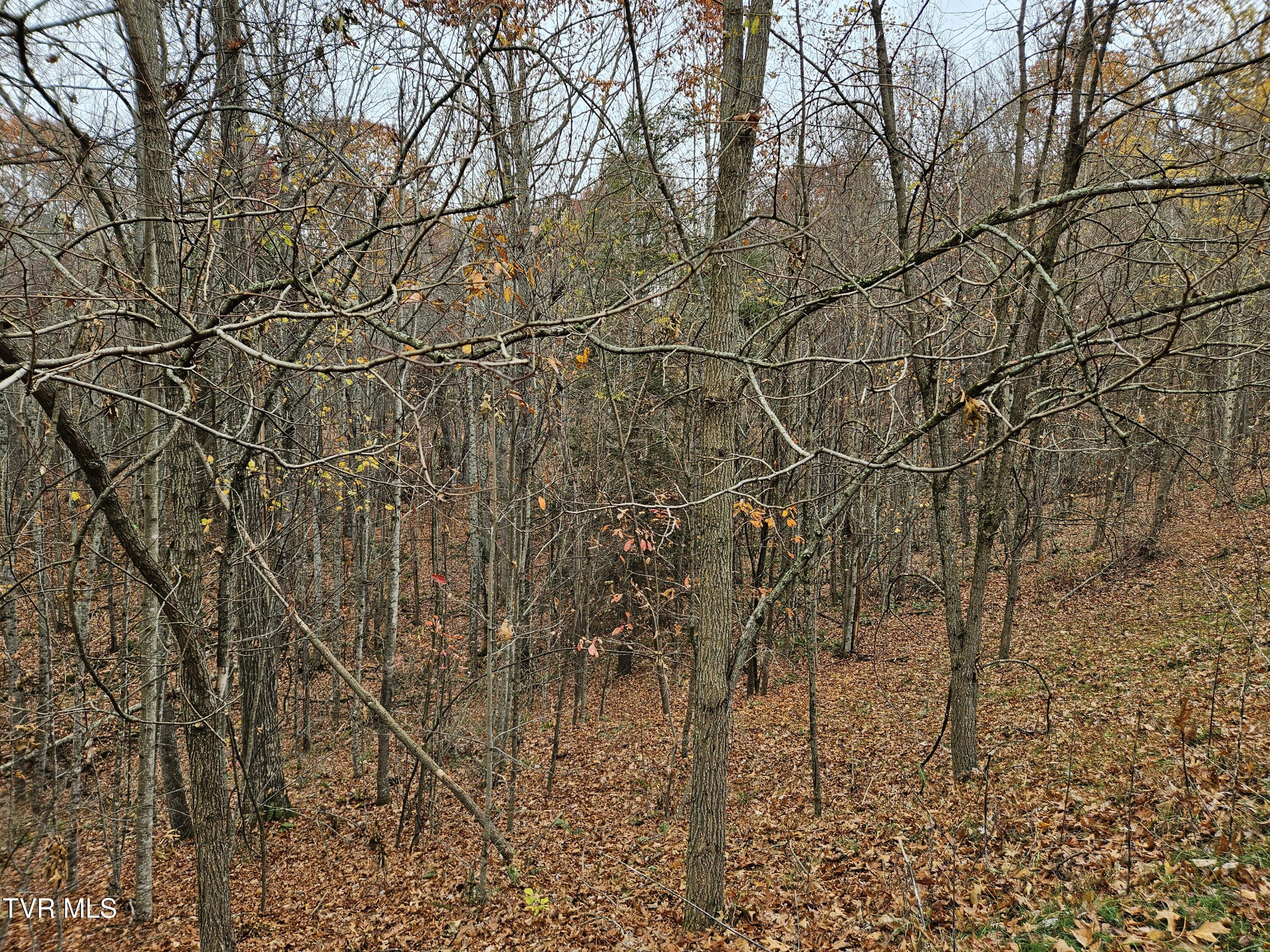 Lot  17 Fox Hollow Drive, Tazewell, Virginia image 5