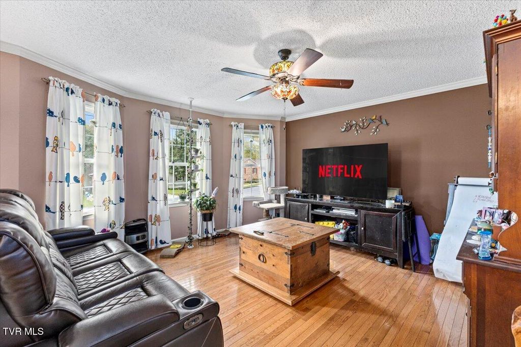 Photo of 141 Valley Crest Drive, Mount Carmel, TN 37645 (MLS # 9987714)