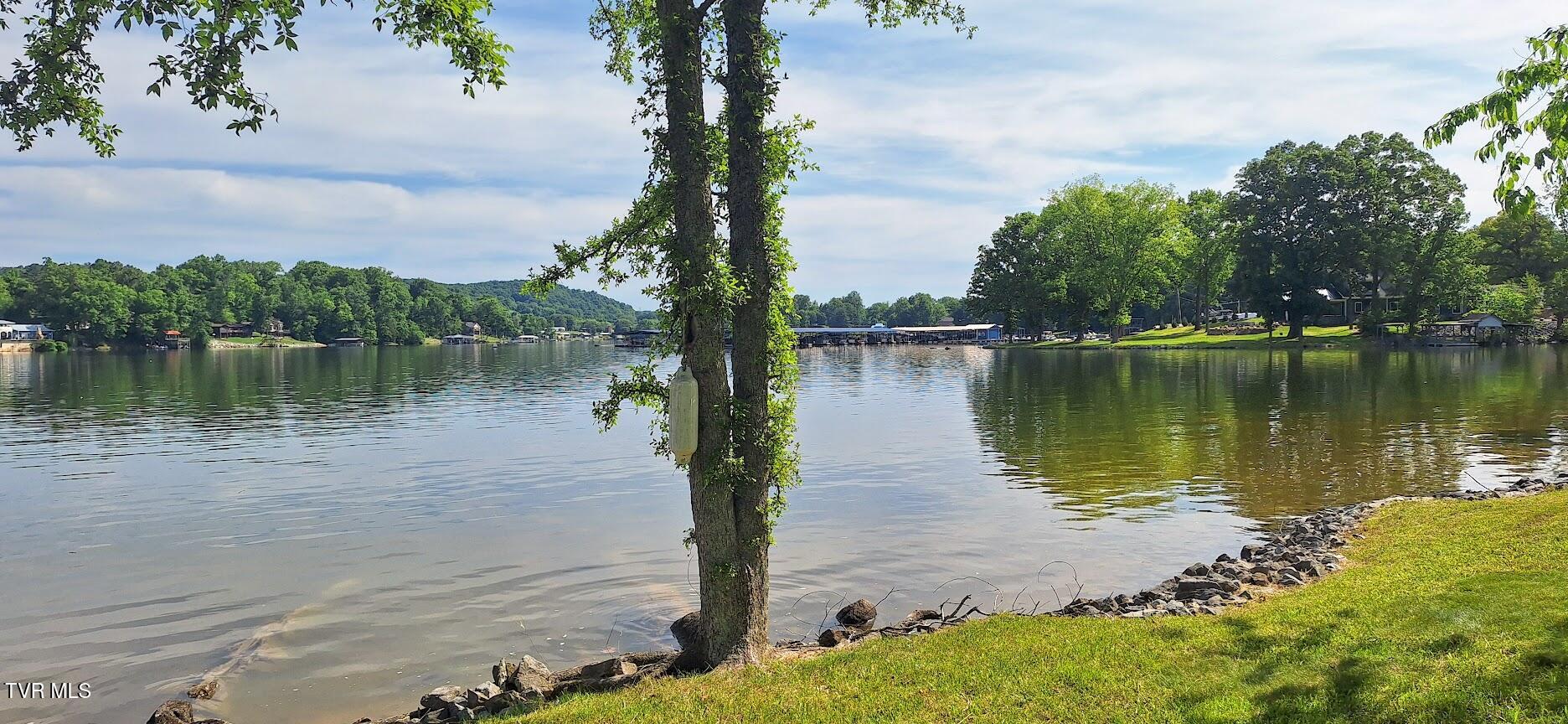 488 Sportsman Dock Road, Piney Flats, Tennessee image 11
