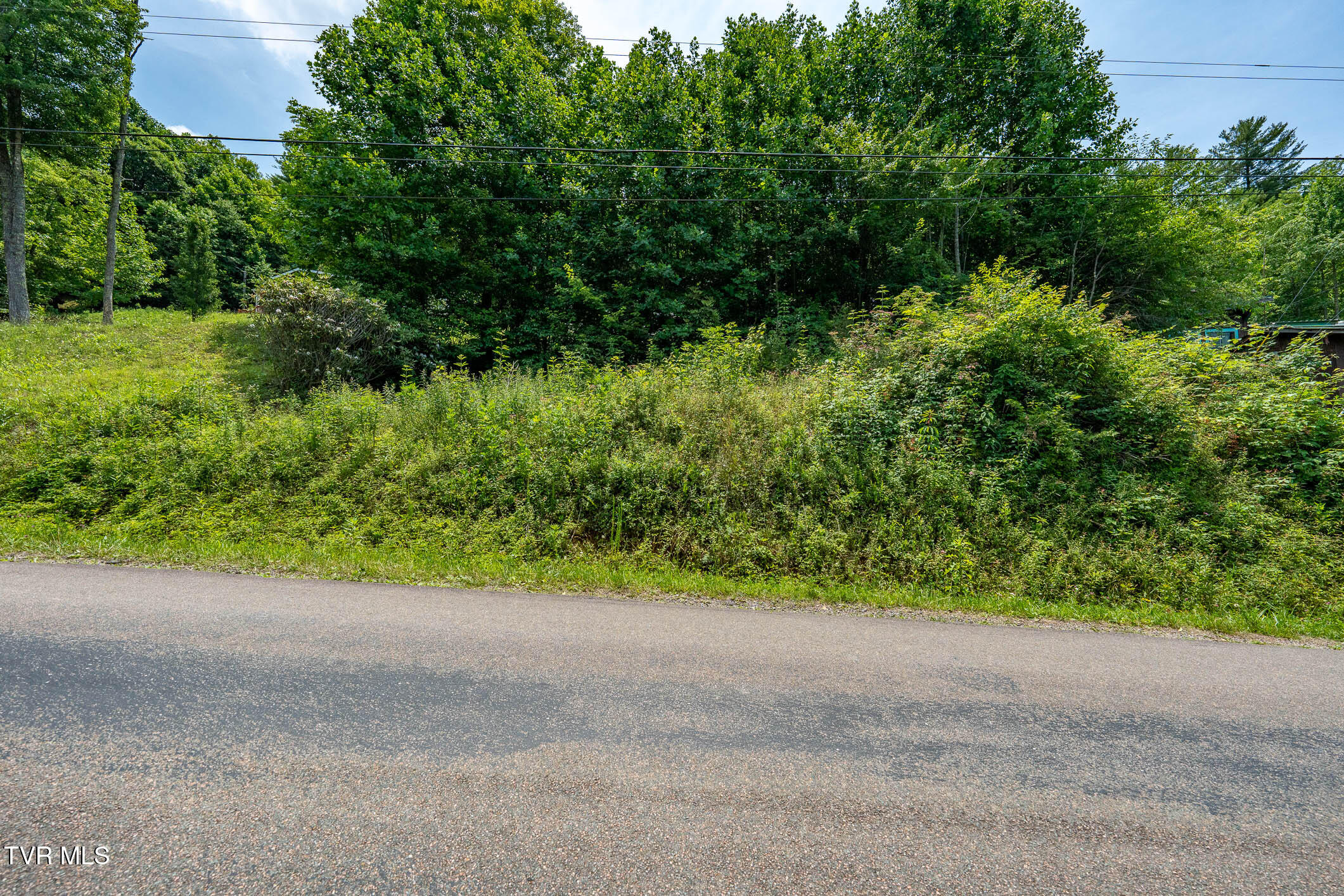 Photo 1 of 22 — Tbd Sink Valley Road Unit 074 121.03, Butler, TN 37640