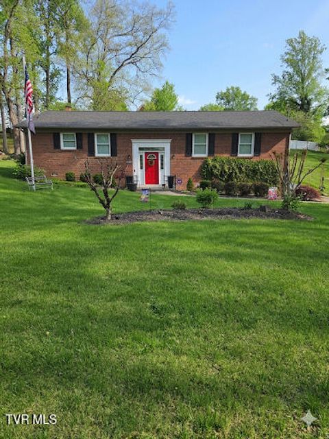 Photo of 617 Vance Drive, Bristol, TN 37620 (MLS # 9994447)