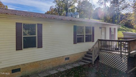 Photo of 750 Gass Memorial Road, Greeneville, TN 37745 (MLS # 9987267)